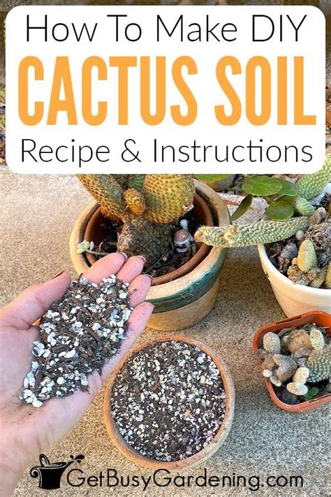 cactus soil mix ratio|Cactus Soil Mix (+ How To Make Your Own) (2024 Guide) .